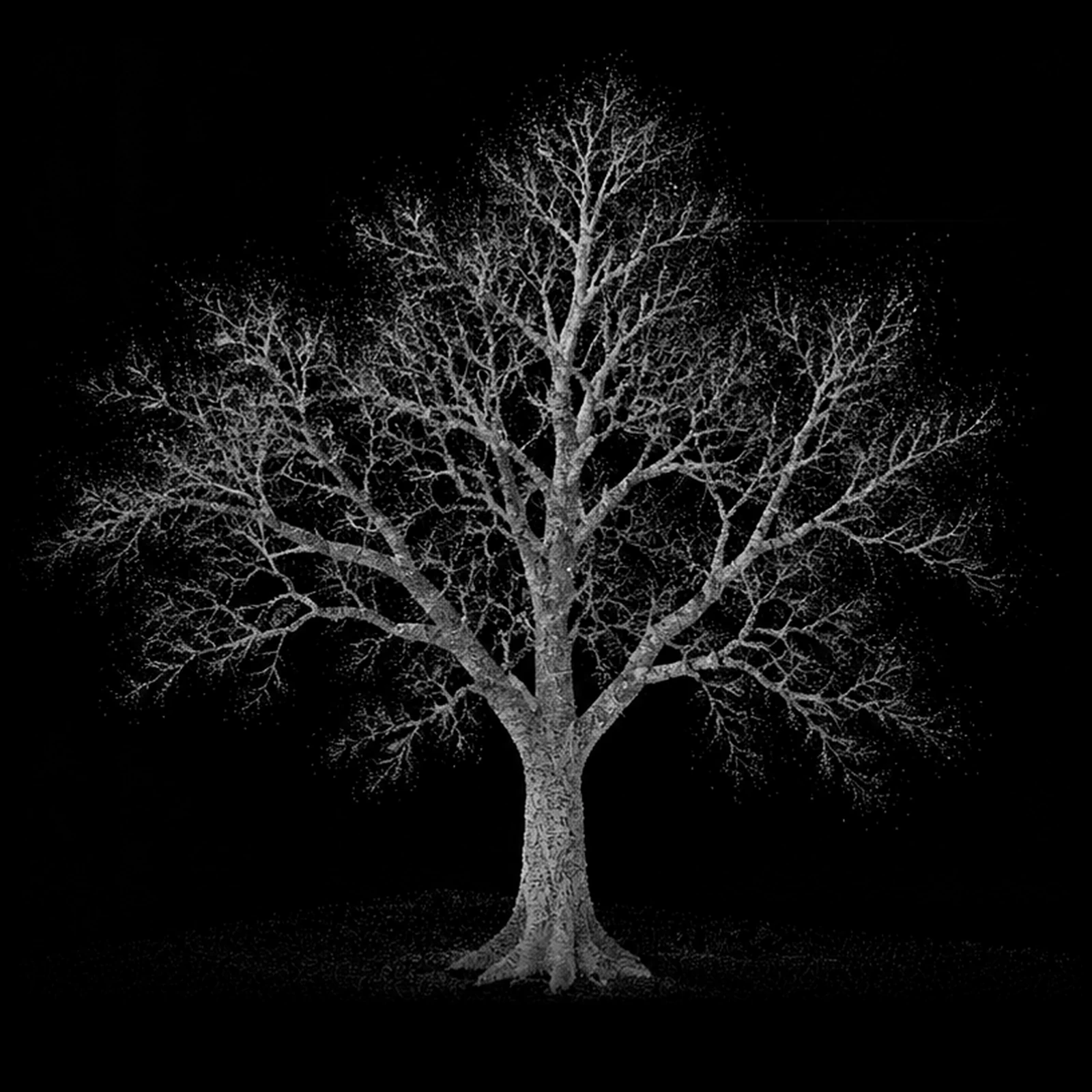 A leafless tree rendered in grey point-cloud artwork. Illustration, not a scan or CrannAI result.
